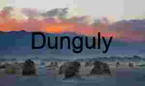 Dust and Dusk: Tumbleweeds Beneath a Painted Sky