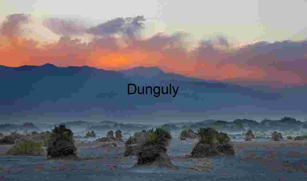 Dust and Dusk: Tumbleweeds Beneath a Painted Sky
