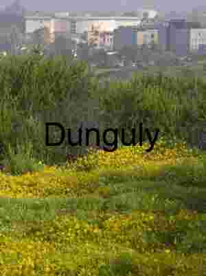 Wildflower Field with Modern Buildings in the Distance