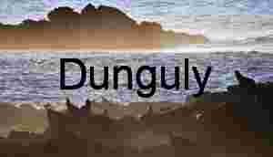 Sun-Kissed Sea Lion Colony at Dawn