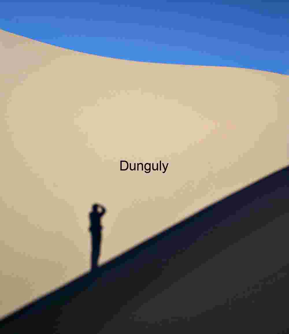 Shadow Witness: Human Trace on a Silent Dune