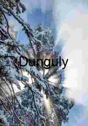 Radiant Winter Tree with Sunburst and Snowfall