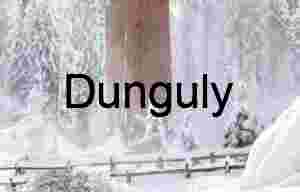 Snowfall and Stillness: Giant Sequoia in Winter Forest