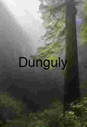 Sunbeams Piercing a Misty Forest Canopy at Dawn