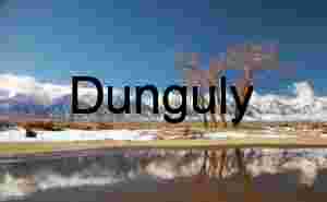 Winter Solitude: Bare Trees and Reflections Beneath Snow-Capped Peaks