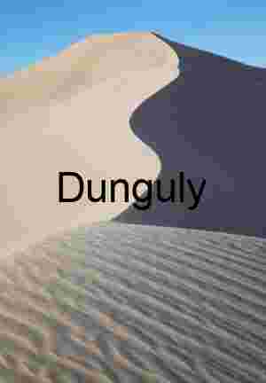 Dividing Light: The Curve of Contrast in the Dune