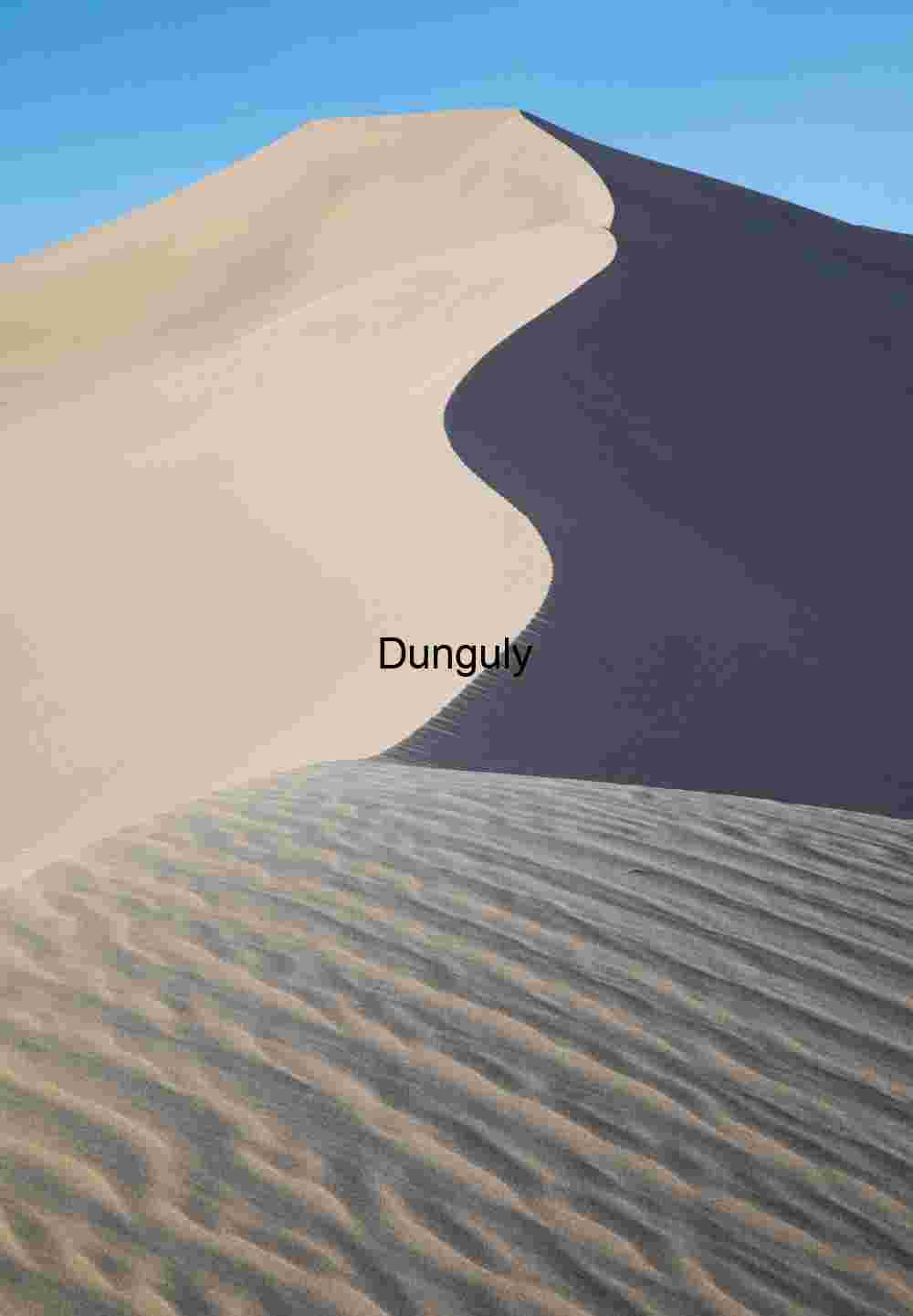 Dividing Light: The Curve of Contrast in the Dune