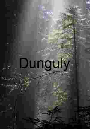 Early Morning Light Streaming Through Ancient Woodland