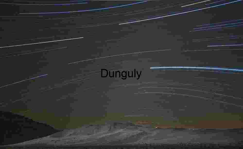 Orbiting Silence: Star Trails Over Desert Stillness