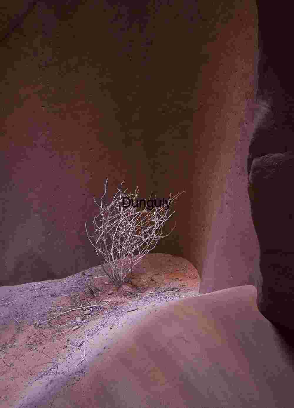 canyon light beams, shadow and texture, desert glow, atmospheric landscapes