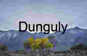 Close - Golden Transition: Autumn Trees Beneath Snow-Dusted Peaks and Sunlit Skies