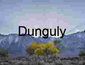 Golden Transition: Autumn Trees Beneath Snow-Dusted Peaks and Sunlit Skies