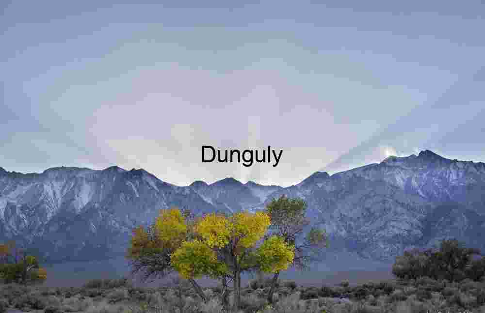 Close - Golden Transition: Autumn Trees Beneath Snow-Dusted Peaks and Sunlit Skies