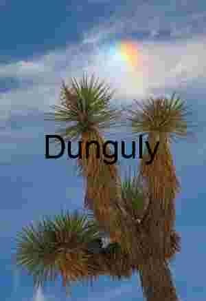 Desert Halo – Joshua Tree Framed by a Fire Rainbow