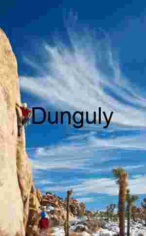 Vertical Pursuit in a Snow-Dusted Desert