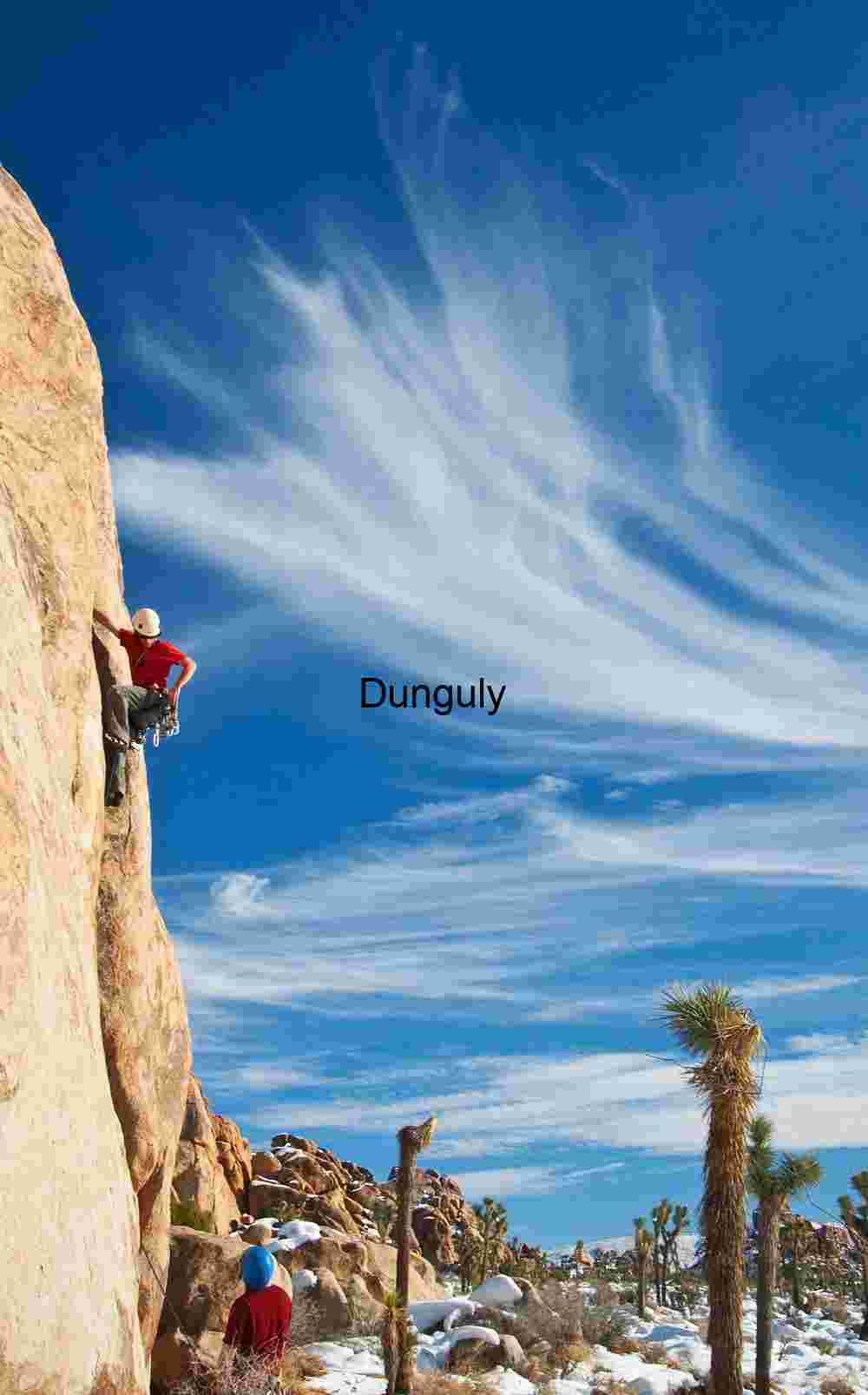 Vertical Pursuit in a Snow-Dusted Desert