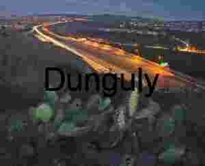 Night Highway with Cactus in Foreground and Light Trails