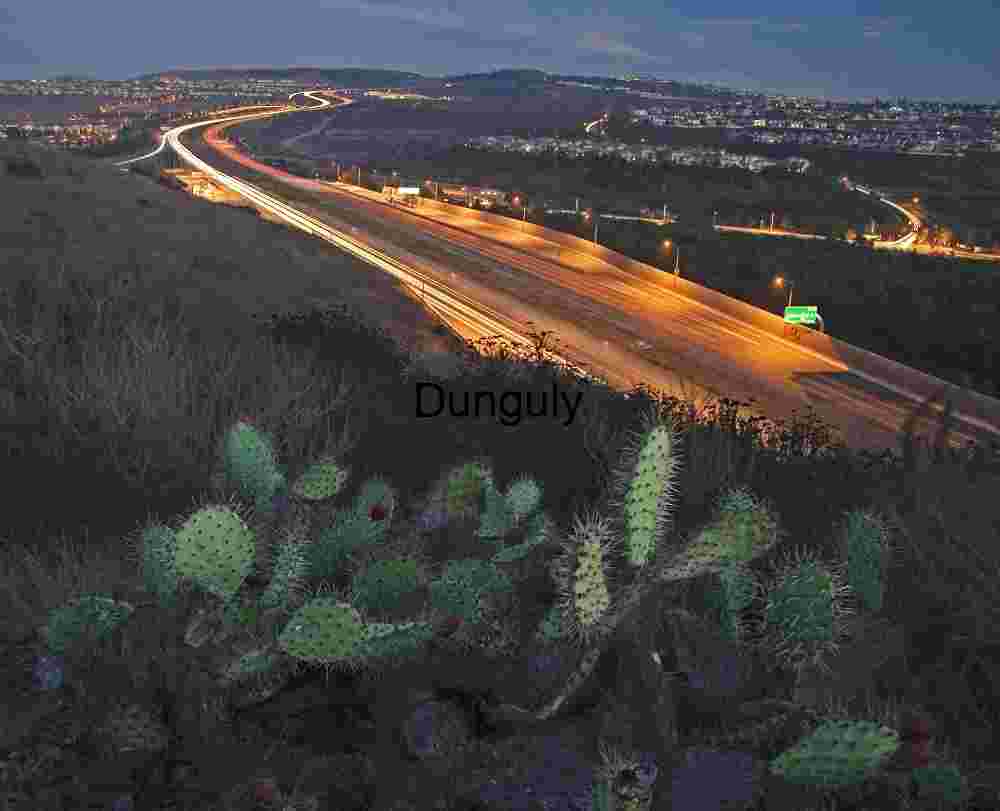 Night Highway with Cactus in Foreground and Light Trails