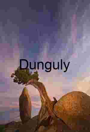 Rooted in Stone: A Desert Dialogue of Time and Tenacity