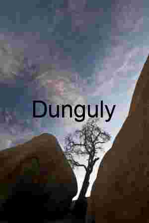 Sentinel Between Stone: A Desert Silhouette in Transition