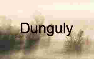 Misty Autumn Trees in Foggy Field – Atmospheric Nature Landscape Photo