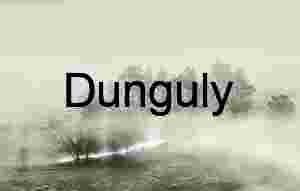 foggy tree line photography