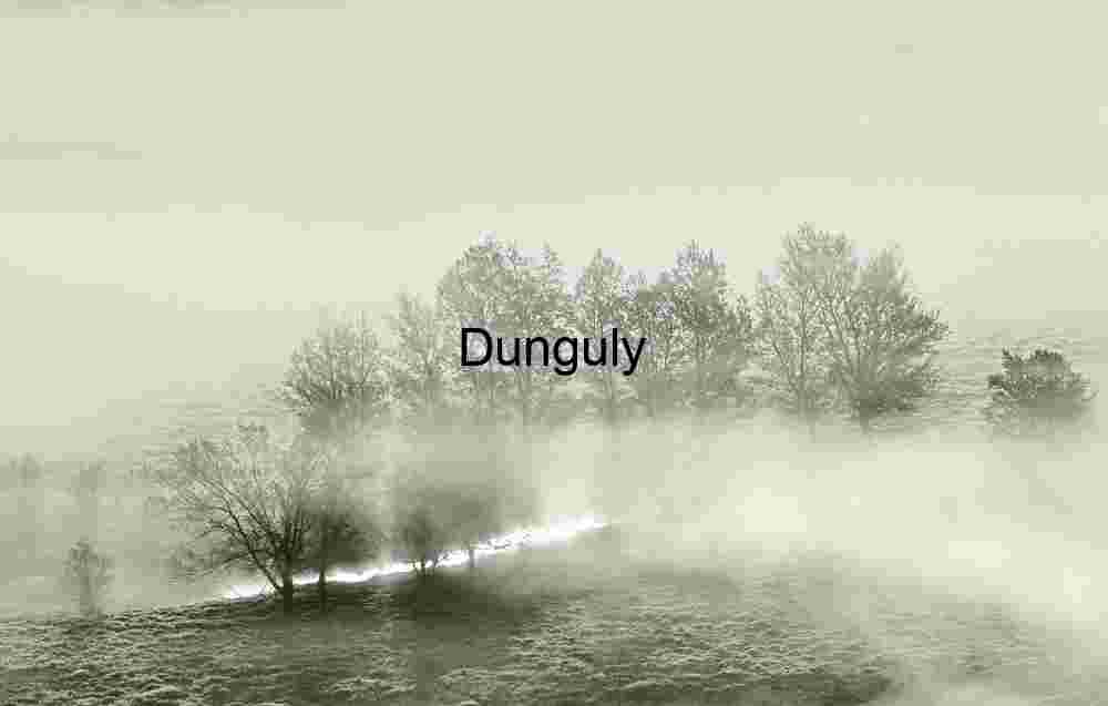 foggy tree line photography