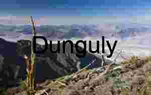 Dust‑Hazed Basin beneath Twisted Dead Trees and Rocky Peaks