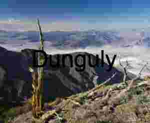 Barren Trees Overlooking Vast Desert Valley from Rugged Mountain Ridge