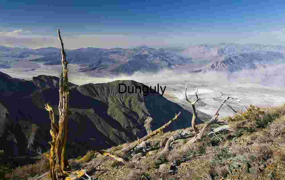 Dust‑Hazed Basin beneath Twisted Dead Trees and Rocky Peaks
