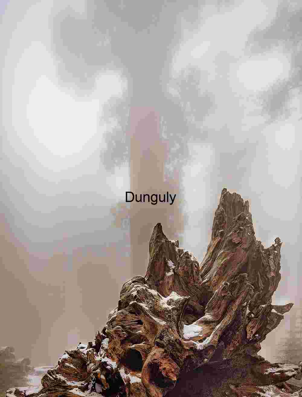 Rooted in Mist: Weathered Stump and Foggy Forest Depth