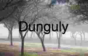 Magnolia and Coral Trees Blooming in Serene Park Setting