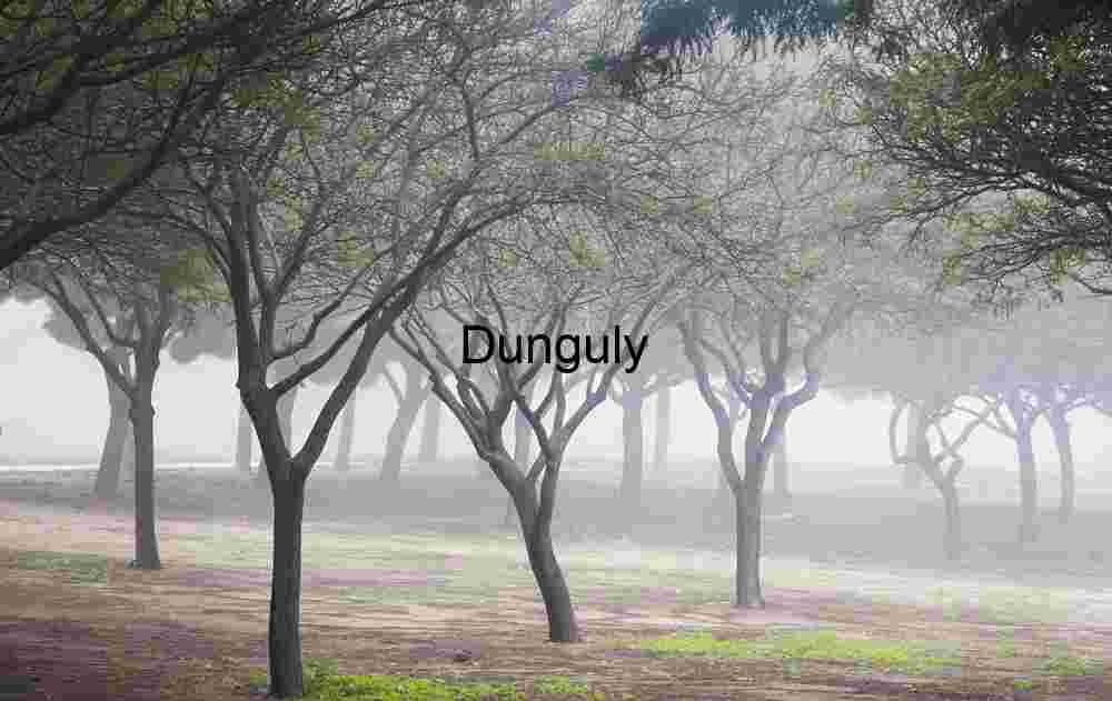 Magnolia and Coral Trees Blooming in Serene Park Setting