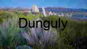 Tufa Towers and Green Shoreline Vegetation at Mono Lake