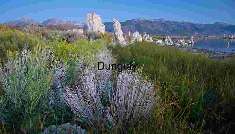 Tufa Towers and Green Shoreline Vegetation at Mono Lake