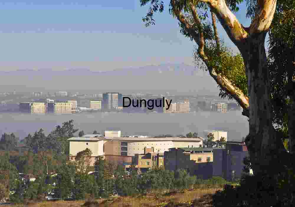 City Skyline Emerging Through Morning Fog