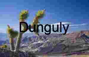 Mojave Wilderness: Iconic Joshua Tree and Rugged Peaks