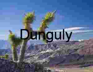 Desert Majesty: Joshua Tree with Snow‑Capped Mountains