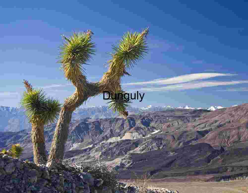 Desert Majesty: Joshua Tree with Snow‑Capped Mountains