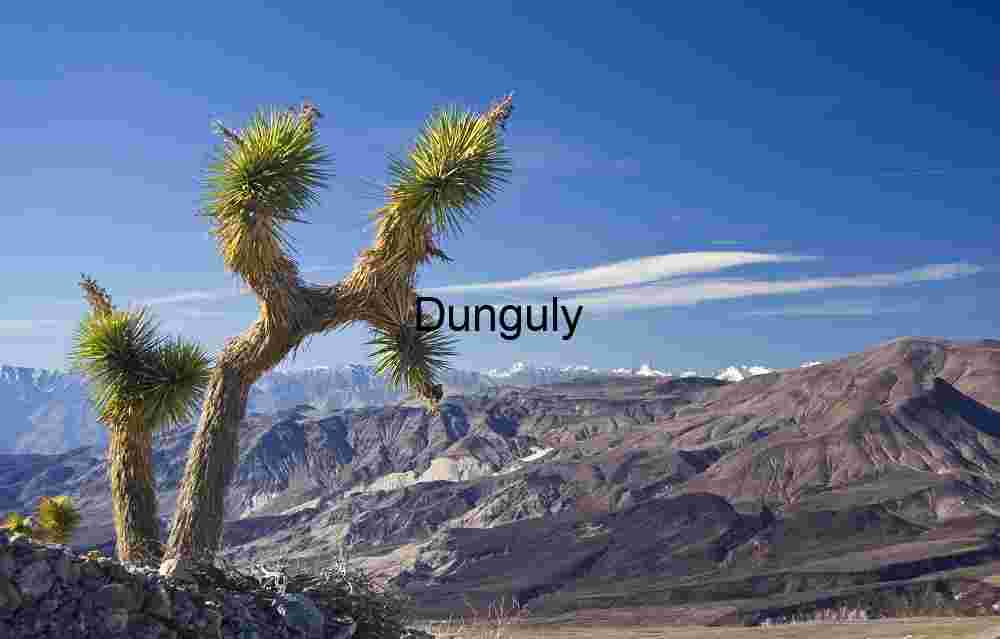 Mojave Wilderness: Iconic Joshua Tree and Rugged Peaks