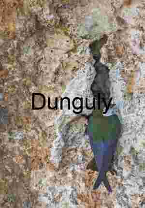 Swallow in Mid‑Flight Above Rugged Rock Under Clear Blue Sky