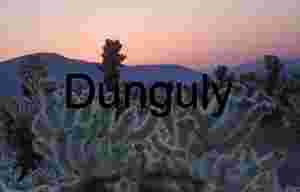 Twilight Bloom: Cholla Silhouettes Beneath a Painted Sky