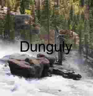 Torrent and Timber: Wild River Beneath Broken Pines