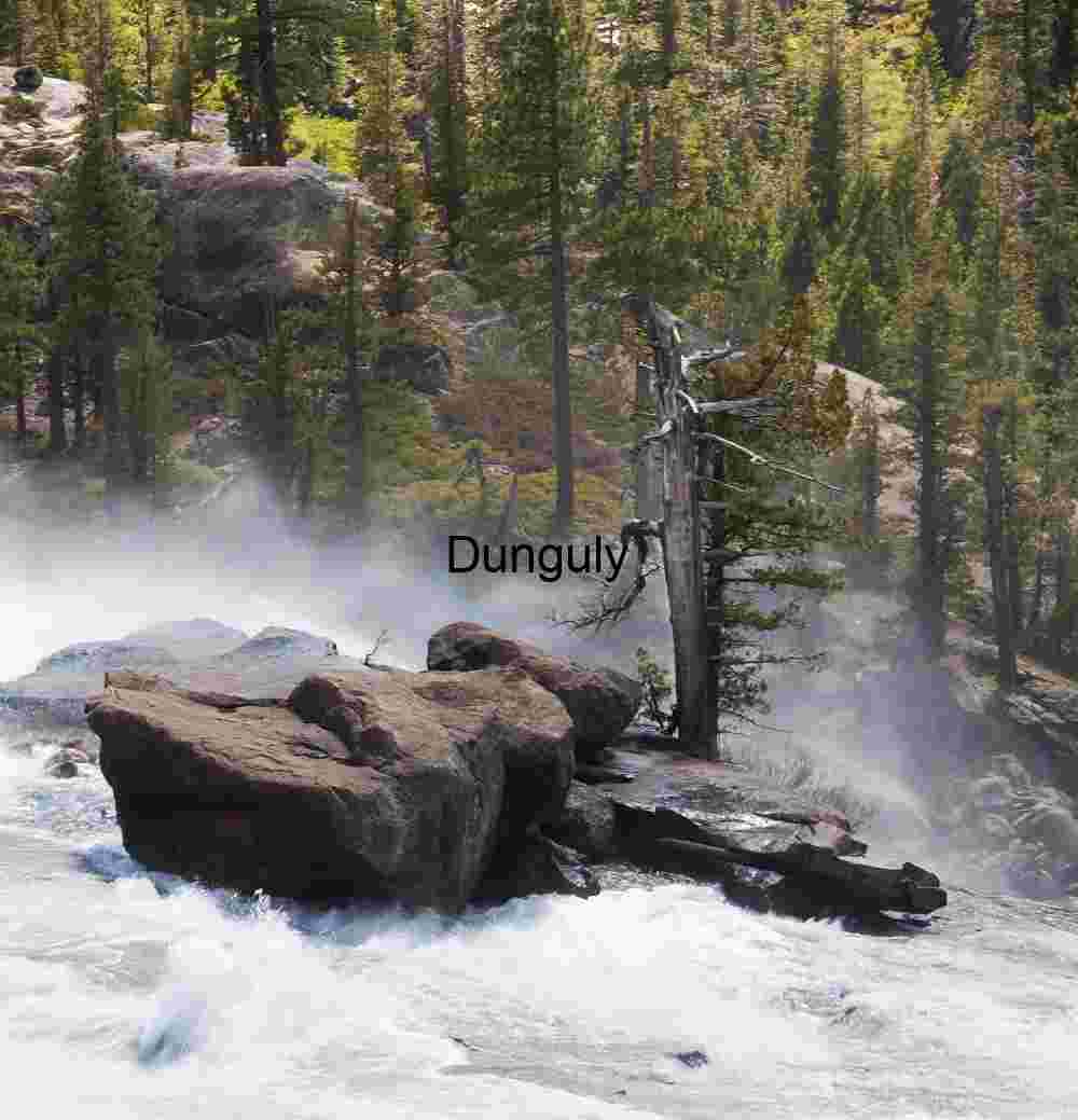 Torrent and Timber: Wild River Beneath Broken Pines