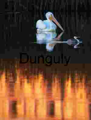 White Pelican and Grebe at Sunset on Tranquil Lake