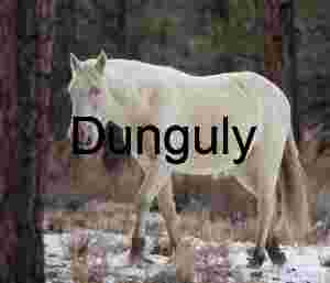 Pale Wanderer: Horse in Winter Woodland