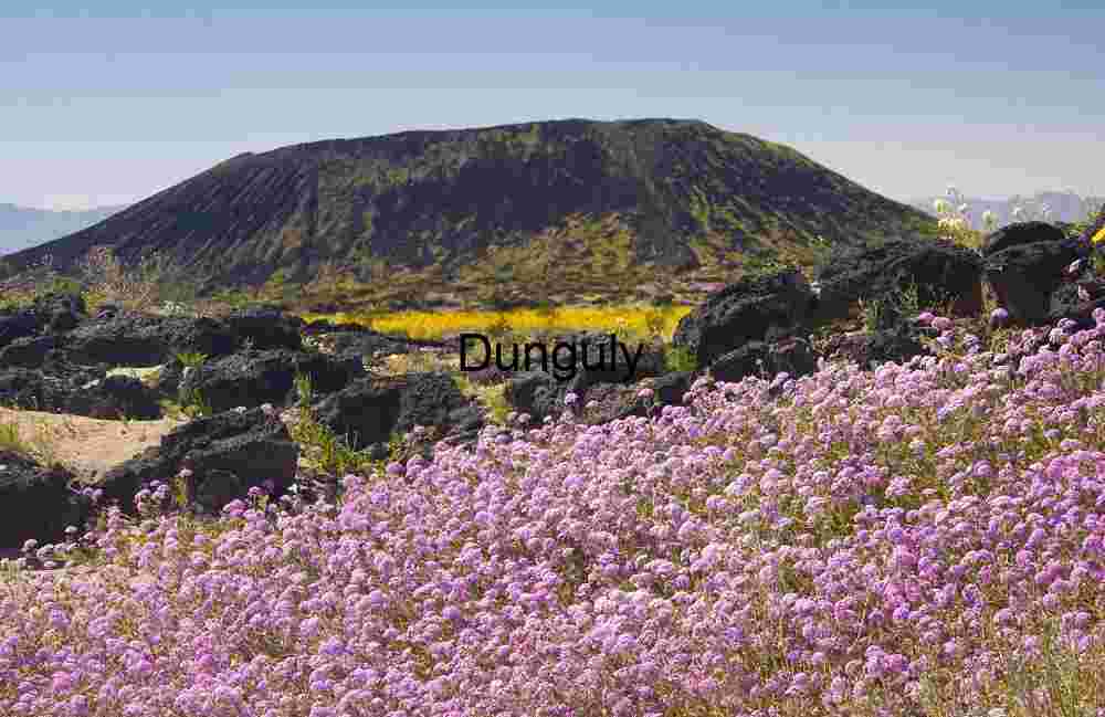 Wildflowers in Bloom Around Volcanic Cinder Cone Under Clear Sky