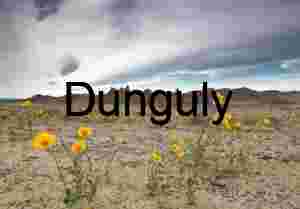 Spring Bloom in Harsh Desert Terrain with Dramatic Sky