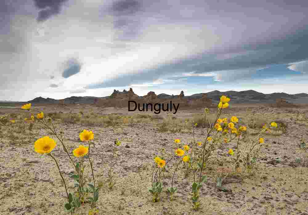 Spring Bloom in Harsh Desert Terrain with Dramatic Sky