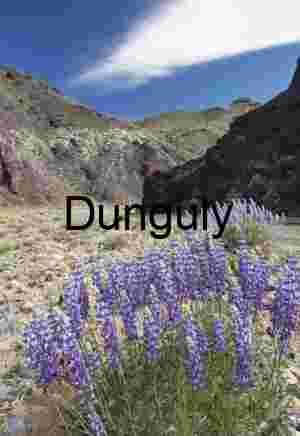 Purple Lupine Bloom in Harsh Desert Landscape